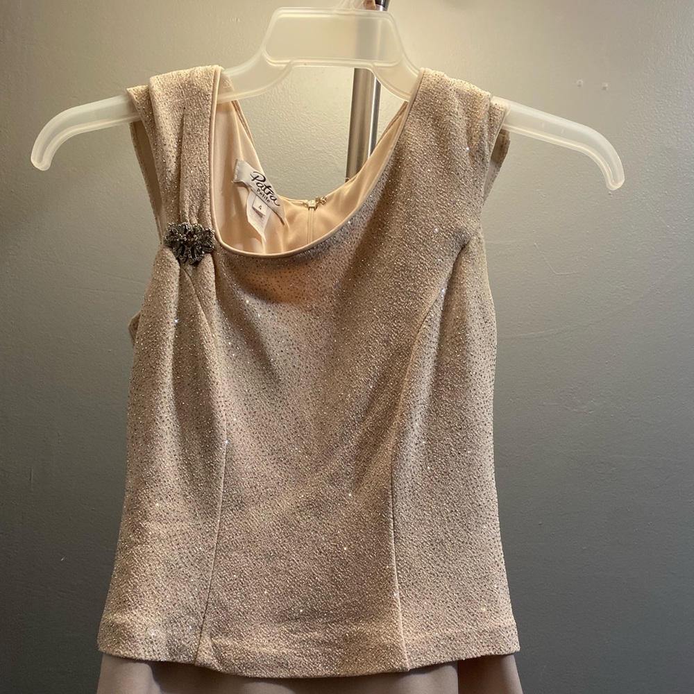 Patra Petite Size 4 Dress